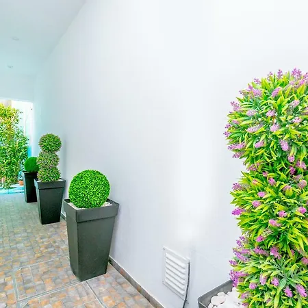 Apartamento Olival Senses Designer's Collection