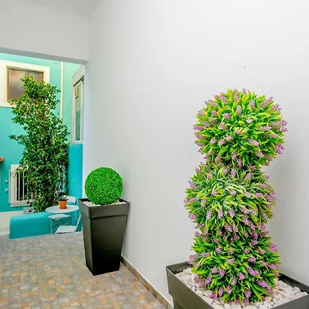 Olival Senses Designer's Collection Apartamento